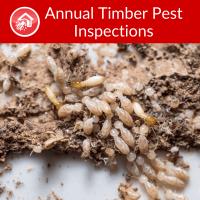 Dedant Building and Pest Inspections Brisbane image 4